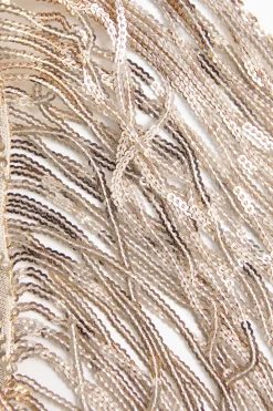 MICAS Midi Dresses-Backless Fringe Sequin Midi Dress CHAMPAGNE