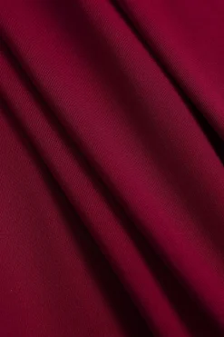 MICAS Long Sleeve Dresses|Maxi Dresses-Backless Long Sleeve Maxi Dress BURGUNDY