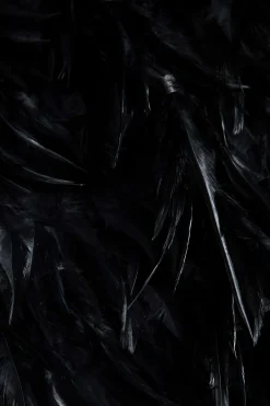 MICAS Mini Dresses-Feather V-Neck Tie-Up Sleeveless Mini Dress BLACK