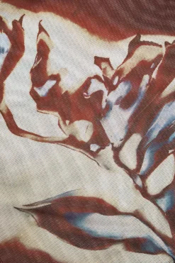 MICAS Long Sleeve Tops|Long Sleeves Tops-Floral Print Mesh Off-Shoulder Long Sleeve Top RUST