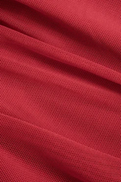 MICAS Mini Dresses-Mesh Backless Appliques Ruched V-Neck Mini Dress CHILI