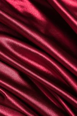 MICAS Mini Dresses-Ruched Sleeveless Mini Dress BURGUNDY