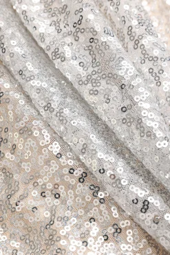 MICAS Mini Dresses-Sequin Pleated Mini Dress