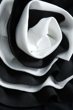 MICAS Swimwear-Tummy Control Appliques One-Piece Swimsuit BLACK